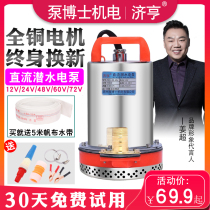 Ji Heng DC submersible pump 12V24V48V60V72V Volt pump battery car electric vehicle agricultural pump