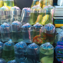 Four corner bag packing fish Square bottom transport bag seafood bag ornamental fish bag aviation transport bag