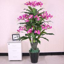 Fake flower simulation silk flower home living room indoor large decorative bonsai potted plant floor simulation plant fake tree green plant