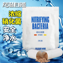 Qi overflow natural fish tank aquarium nitrifying bacteria dry powder fish tank water purifying agent clear nitrifying bacteria capsule