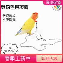Parrot bird neckline stainless steel neck sleeve small and medium training rope outside with outdoor chain big head tiger leather parrot