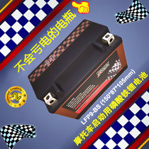 Huanglong 600 300 250 Jinpeng 502 Spring Wind 650 400 motorcycle lithium battery battery GW250