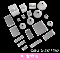 Insect amber specimen epoxy resin AB glue crystal drop glue mold Daquan homemade diy tool transparent