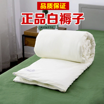 White cotton new polyester fiber simple modern hot melt cotton mattress white mattress student dormitory single bed mat