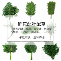 Leaf wood flowers with grass with leaves turtle back leaves loose tail leaves rich bamboo Vermilion leaves