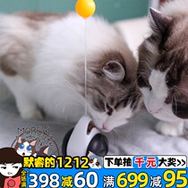 Cat Toys Tumbler Educational Catnip Toys Pet Balance Swing Car Cat Toys Hi