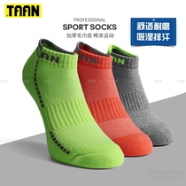 TAAN badminton socks professional sports socks womens socks stockings short socks boat Socks thick towel bottom T135