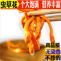 Golden Worm Grass Flower Dry Cargo Special Class Wild 500g Raw Fresh Pot Soup Material North Chrysalis Caterpillar Fungus 1 Catfish Head Fresh