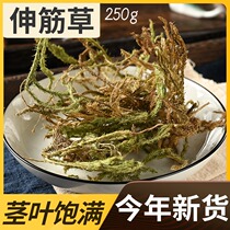 Finding Baicao wild soothing grass Chinese medicine soak 250g can take Yuanzhi Yizhiren Fei 500g
