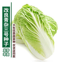 Improved Green mixed No. 3 cabbage seeds vegetable seeds farm gardens balconies planting four seasons mature and fast.