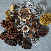 Pine fruit dry lotus dry flower kindergarten semi-fabricated diy composite package package photo props