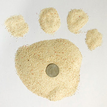 Philippines coral sand coral sand base sand ground sand surface powder sand sea water cylinder fish tank building filter material coral sand filter filter material