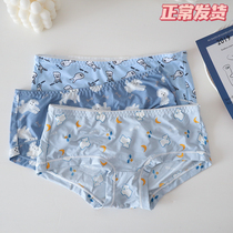 Fresh blue teddy dog cartoon rabbit milk silk low waist sexy ice silk underwear female girl summer