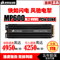 Meri Pirate Ship MP600 MP600 1T 2TB M 2 2280 NVME PCIe GEN4 SSD Solid State Disk