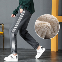 Thickened lamb wool sweatpants womens velvet cotton pants suitable for thigh Root thick pants womens autumn and winter loose Thin Thin
