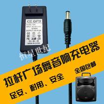 Special 15V3A 2A universal power adapter power cord for Tmei sound charger