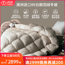 Honren Home textile duvet 95 white goose down quilt winter quilt thickened 80 Australian wool warm quilt quilt core