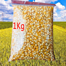 Corn grain Small corn grain Popcorn corn Popcorn corn