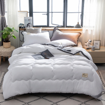 Winter quilt one meter five quilt quilt quilt spring and autumn 4 Jin one meter eight quilt thick warm quilt winter quilt 8kg