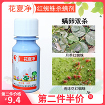 Flower Summer Net Libites Spiromites Rose Citrus Strawberry Embroidered Osmanthus Moon Season Flowers Medicine Red Yellow Spider Killing Mites