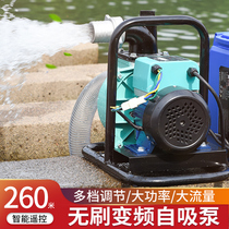 Maiyue rechargeable electric lithium water pump 48V60V72 agricultural water pump Household high-power farmland irrigation