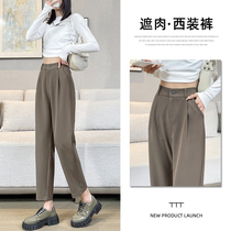 Casual Western Dress Pants Woman Spring Autumn Easy straight cylinder Smoke Tubes Pants slim 100 Lap Smoke trousers High waist 90% Harun pants