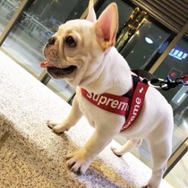 Sup Item Circle Pet Pet Tide Dog Rope Chest with Puppy Traction Rope Faro bib Bears Snowneri Teddy small and medium-sized dogs