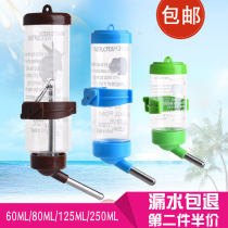 Rabbit Kettle Dragon Cat Guinea Pig Hedgehog Flowers Branches Sage Squirrel Steel Ball Water Dispenser Pet Automatic Water Feeder Double Ball Bearing