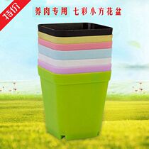 Special price multi-colored small square pot small black flower pot 7 × 7cm meat balcony Special