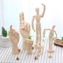 High joint human model ornaments 12-inch joint doll human body hand wooden hand movable art painting sketch comics
