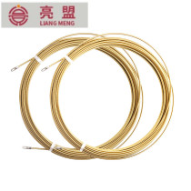 Promotion Electrician Wire Wire Lead Instrumental Spring Flat Head Pull Wire Instrumental Cable Wire Network Cable Tool