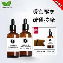 Tongmeridian Angelica fever oil wormhouse essential oil with angelica essential oil 30ml each dredge Meridian conditioning menstrual hair