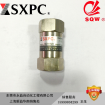 SXPC Shanghai Xinyi XQ110401 XQ110601 XQ111001 XQ111501 Internal Thread Check Valve