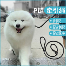 Pet dog leash explosion proof rush to prevent breaking free of large dog medium dog small dog golden retriever teddy P chain rope