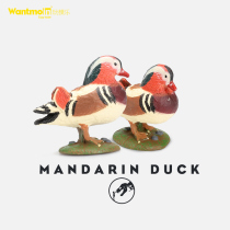 Wantmoin playing with mold and mandarin animal model emulated flying bird animal model toy