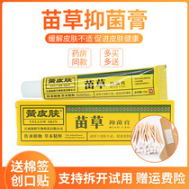 Yellow skin cream Miao grass antibacterial ointment herbal anti-itching Hailian biological ointment formerly known as Miao ringworm King