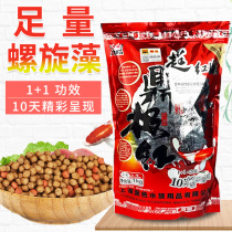 Chaoding extremely red koi fish food Thumb goldfish feed color and bright bait Ornamental fish food Fish food does not muddy water