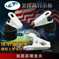 Two small fish in the United States magnetic seaweed clip suction cup floating water seaweed feeding clip strong magnetic seaweed feeder
