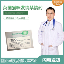 Cats cats cats cats cats cats cats cats cats cats cats cats cats cats cats cats cats cats cats cats cats cats cats cats cats cats cats