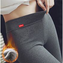 Japanese Autumn Winter Beat Bottom Pants Woman Pure Cotton High Waist Tight Fit Elastic Exo Slim Thread 90% Pants External Wear Plus Suede Thickening