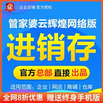 Steward Po cloud Brilliant invoicing software management system Computer mobile phone sales billing Financial inventory network version
