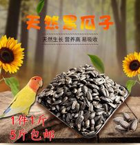 Black melon seeds black pearl small melon seeds sunflower seeds oil sunflower seeds parrot bird food hamster bird food pigeon food five catties