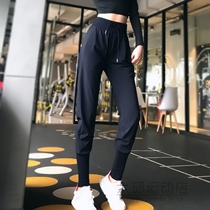 Korean spring and summer sports pants womens closed drawstring loose quick-drying running fitness pants high waist yoga pants casual pants