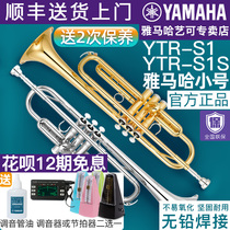 Yamaha Small YTRS1 S1S Brass Drop B Tone Adult Kids Beginner Grade Professional Performance Bb Tune