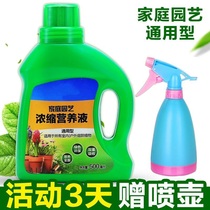 Fugui bamboo nutrient solution special bamboo transfer bamboo foliar fertilizer Water Culture water culture bamboo plant general liquid fertilizer