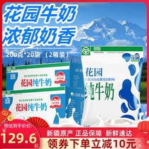 New date 2 boxes of Xinjiang Garden pure milk 20 bags of milk Adult pregnant women childrens nutrition Tetra Pak pillow pure milk