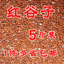 High-quality parrot food red millet peony xuanfeng tiger skin food bird food bird feed more than 5kg province