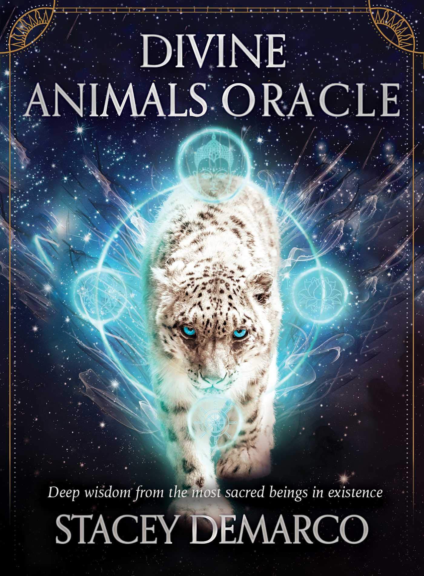 divinine animals oracle god encyclical card English original brand new American straight mail