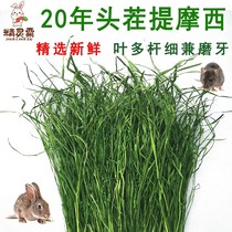 21 years fresh South Timothy grass hay Dutch pig ChinChin guinea pig grain rabbit grass grain drying grass 250g