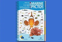  Diving common biological guide MARINE PICTO LIFE Marine biological identification card Childrens marine science